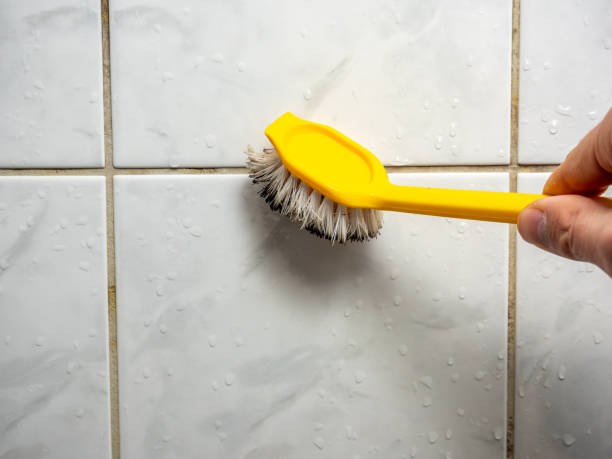 Best Mold Damage Repair  in Salinas, CA