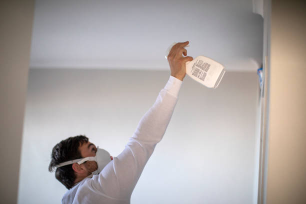 Best Mold Removal Specialists  in Salinas, CA