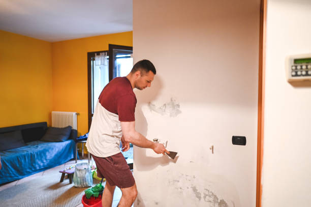 Best Mold Remediation  in Salinas, CA